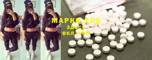 ГАЛЛЮЦИНОГЕННЫЕ ГРИБЫ Аркадак