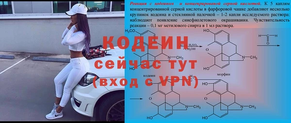 ГАЛЛЮЦИНОГЕННЫЕ ГРИБЫ Аркадак