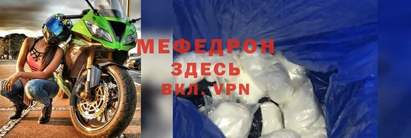 индика Арсеньев