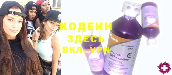индика Арсеньев