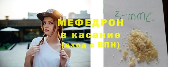 индика Арсеньев