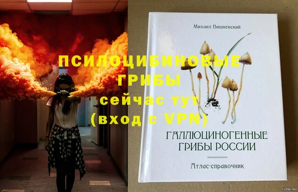 индика Арсеньев