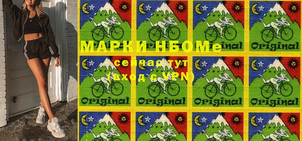 индика Арсеньев