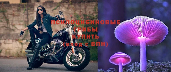 a pvp Армянск